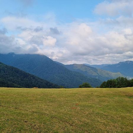 Vila Katun Lanista-Kolibe Bogavac Mojkovac Exteriér fotografie