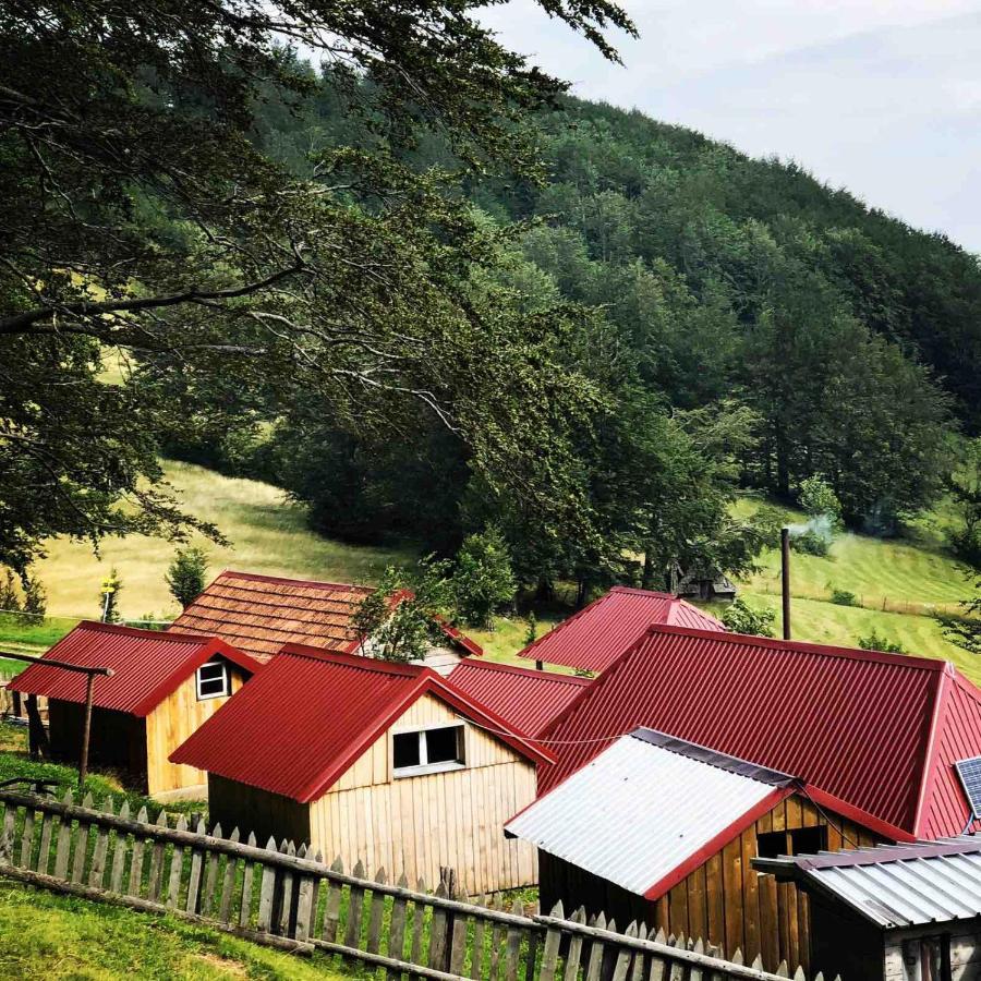 Vila Katun Lanista-Kolibe Bogavac Mojkovac Exteriér fotografie