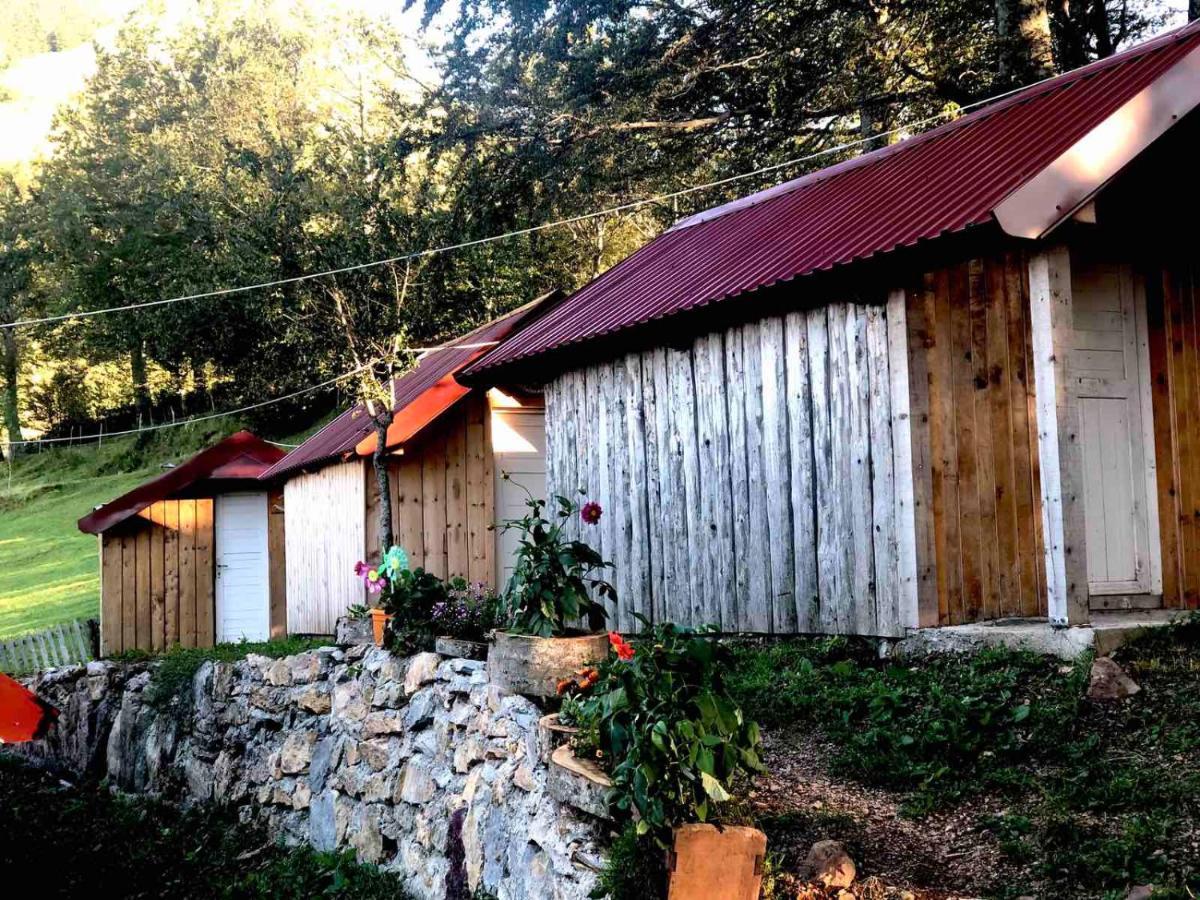 Vila Katun Lanista-Kolibe Bogavac Mojkovac Exteriér fotografie