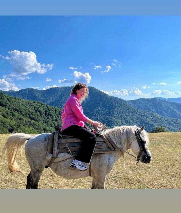Vila Katun Lanista-Kolibe Bogavac Mojkovac Exteriér fotografie