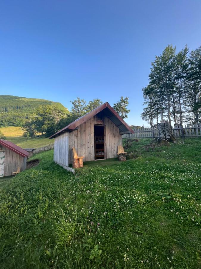 Vila Katun Lanista-Kolibe Bogavac Mojkovac Exteriér fotografie