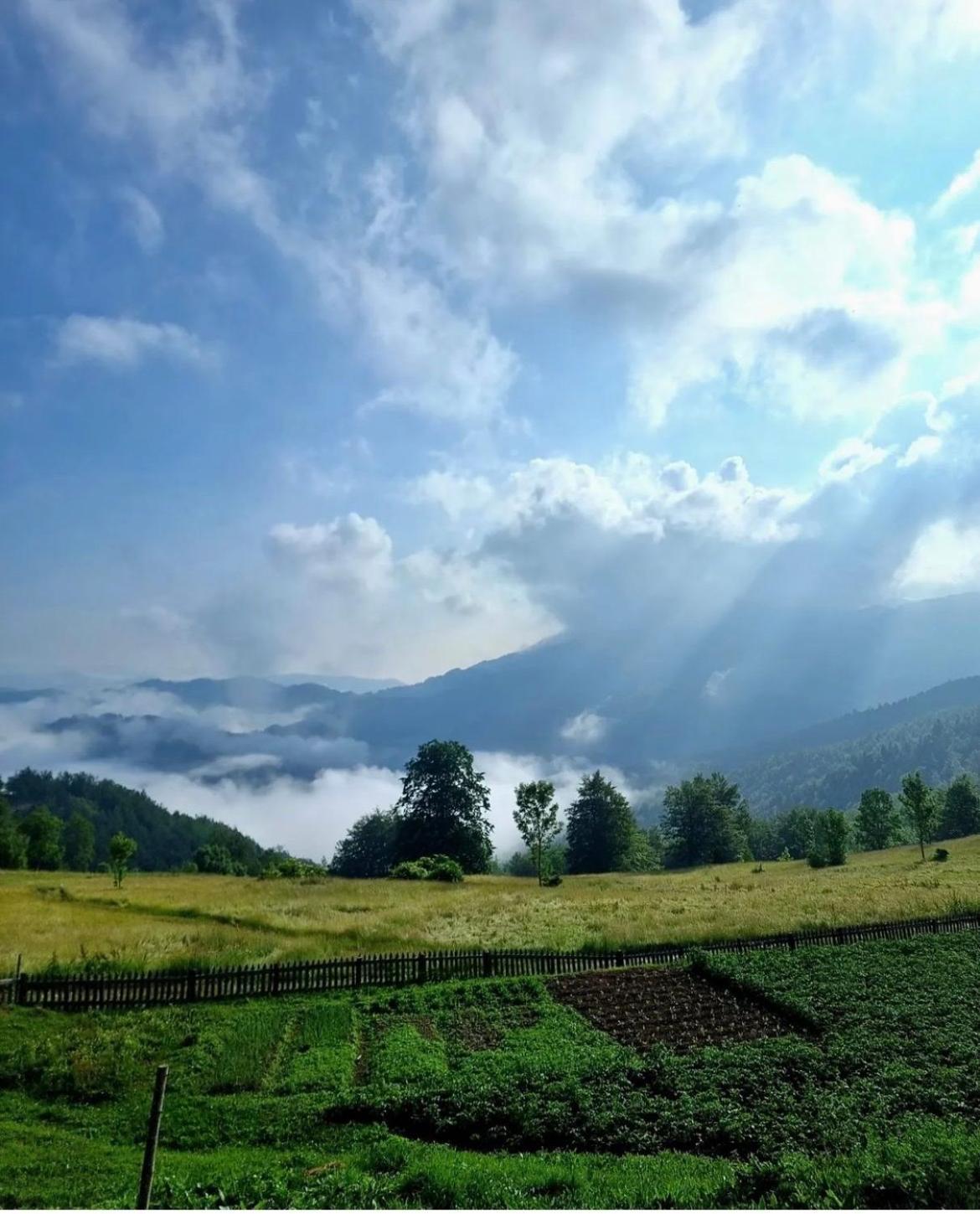 Vila Katun Lanista-Kolibe Bogavac Mojkovac Exteriér fotografie